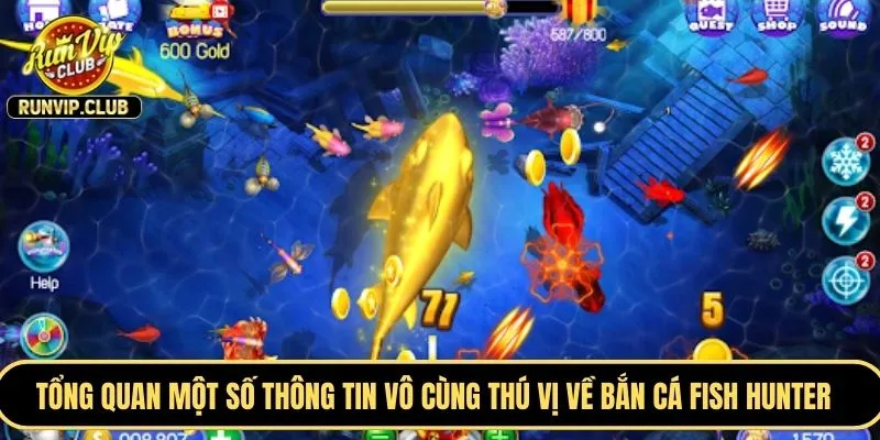 Tổng quan một số thông tin vô cùng thú vị về bắn cá Fish Hunter