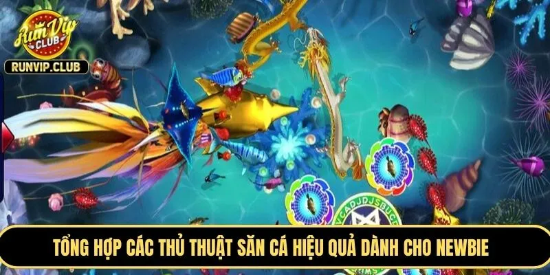 Tổng hợp các thủ thuật săn cá hiệu quả dành cho newbie