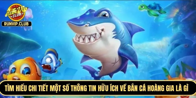 Tìm hiểu chi tiết một số thông tin hữu ích về bắn cá hoàng gia là gì