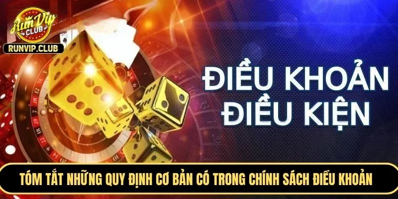 Tóm tắt những quy định cơ bản có trong chính sách điều khoản