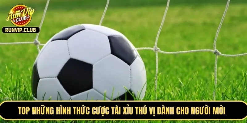 TOP những hình thức cược tài xỉu thú vị dành cho người mới