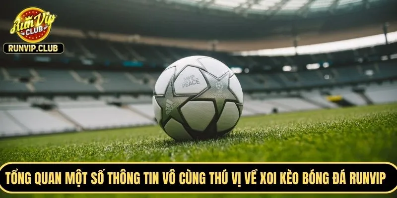 Tổng quan một số thông tin vô cùng thú vị về xoi kèo bóng đá RUNVIP